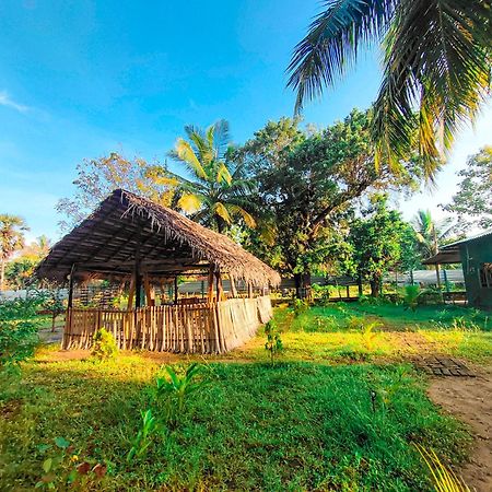 Wilpattu Green Cabin Achchamulai Екстер'єр фото