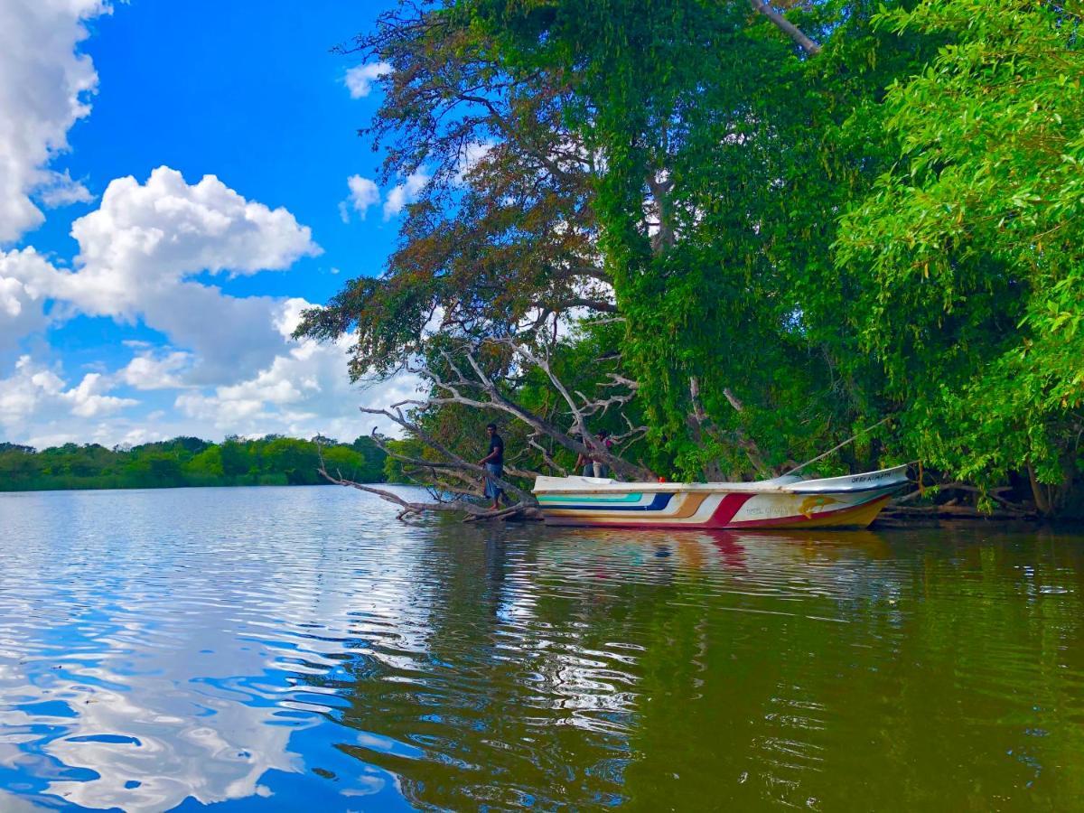 Wilpattu Green Cabin Achchamulai Екстер'єр фото