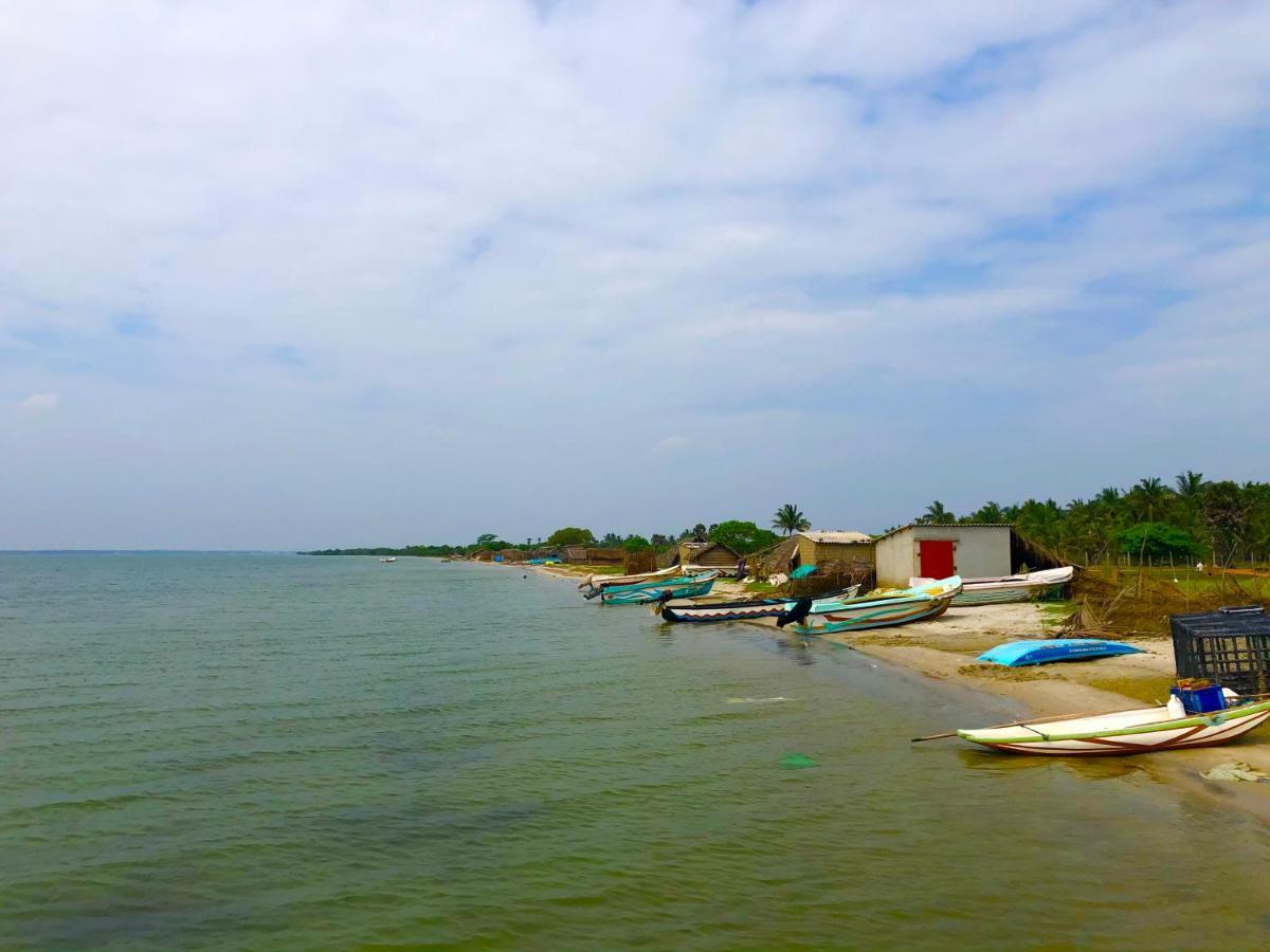 Wilpattu Green Cabin Achchamulai Екстер'єр фото