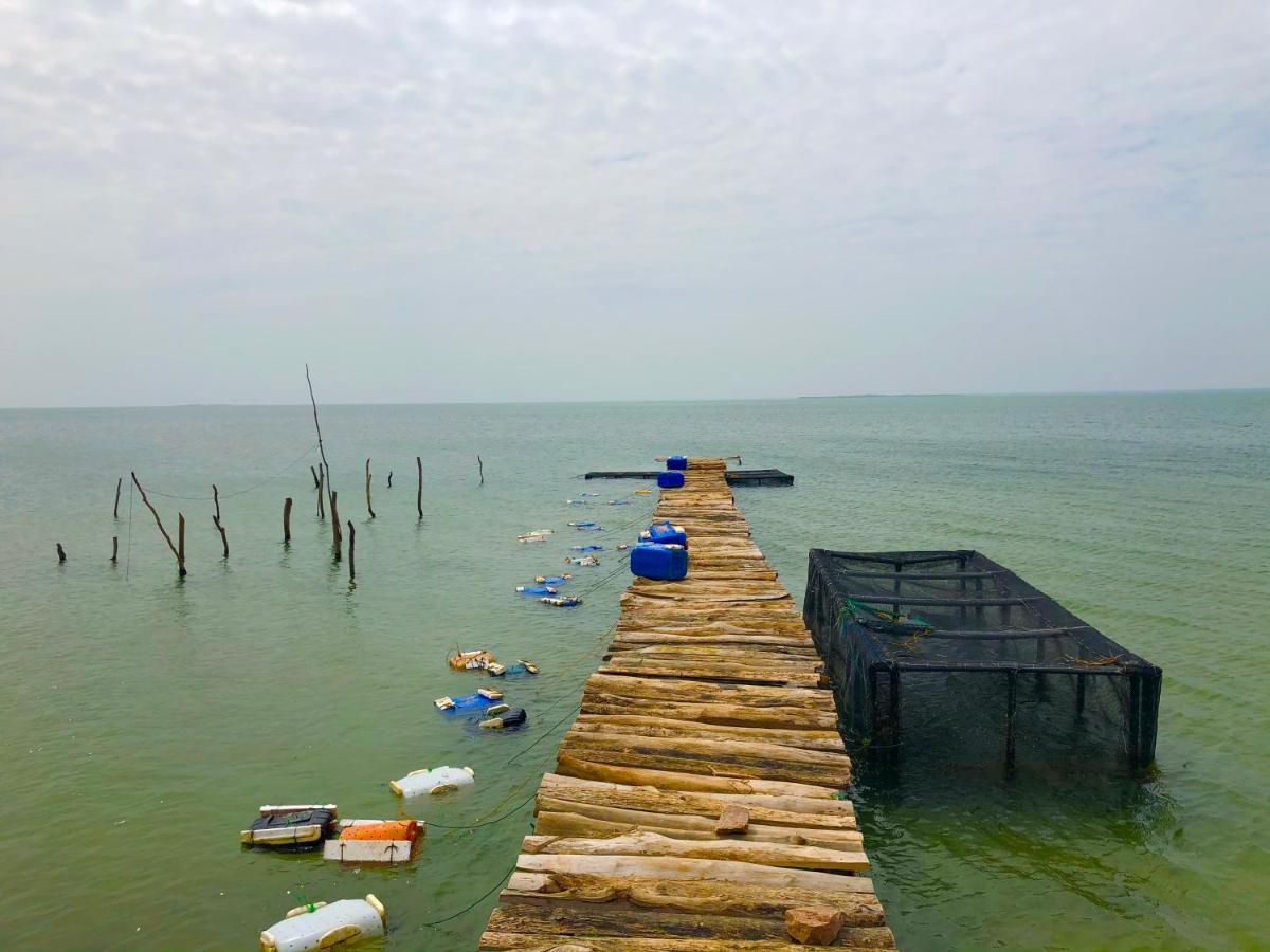Wilpattu Green Cabin Achchamulai Екстер'єр фото