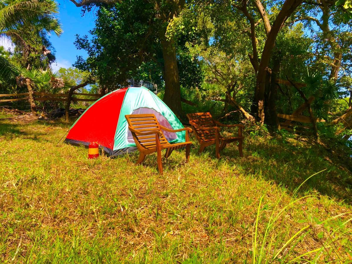 Wilpattu Green Cabin Achchamulai Екстер'єр фото
