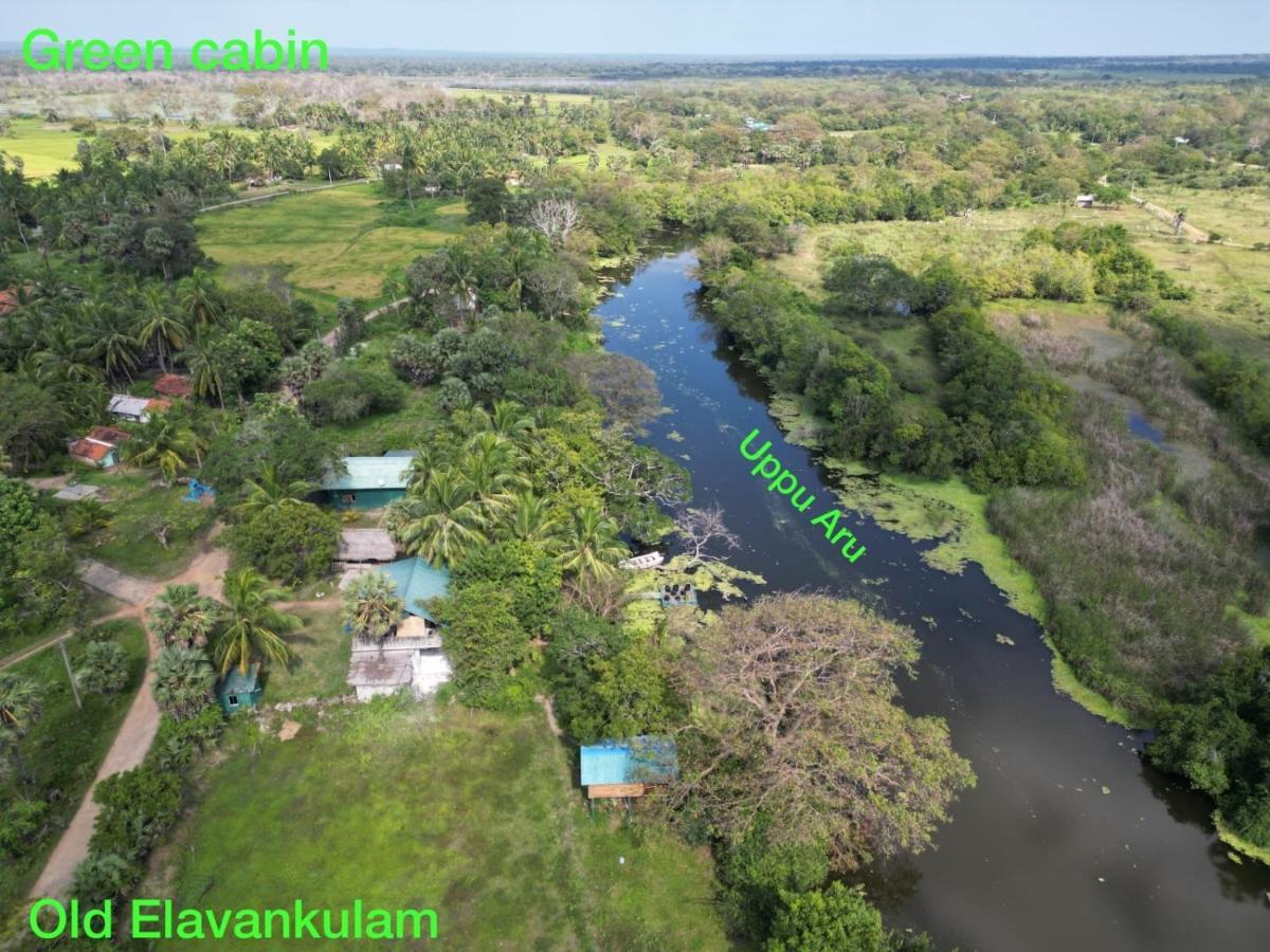 Wilpattu Green Cabin Achchamulai Екстер'єр фото