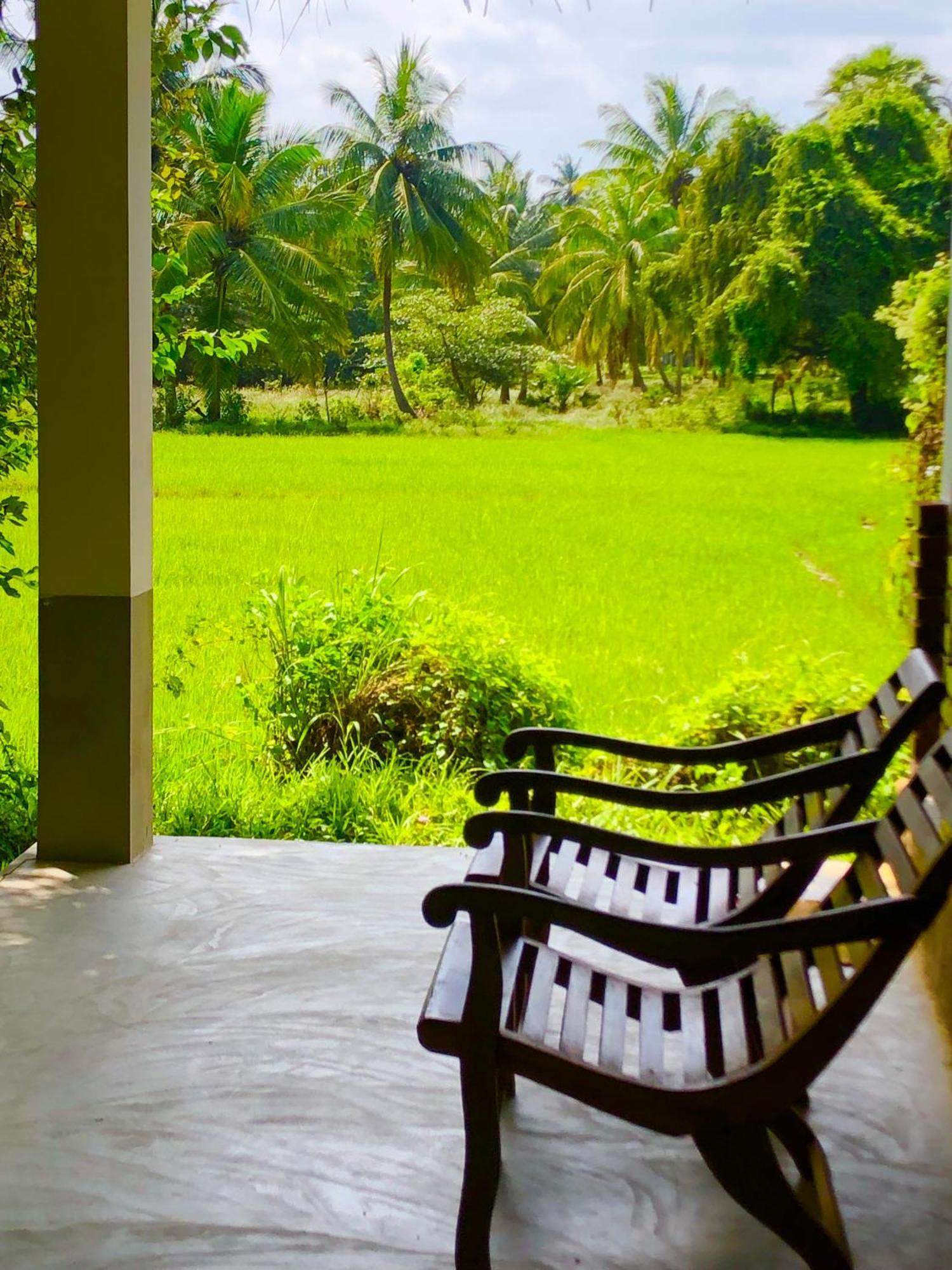 Wilpattu Green Cabin Achchamulai Екстер'єр фото
