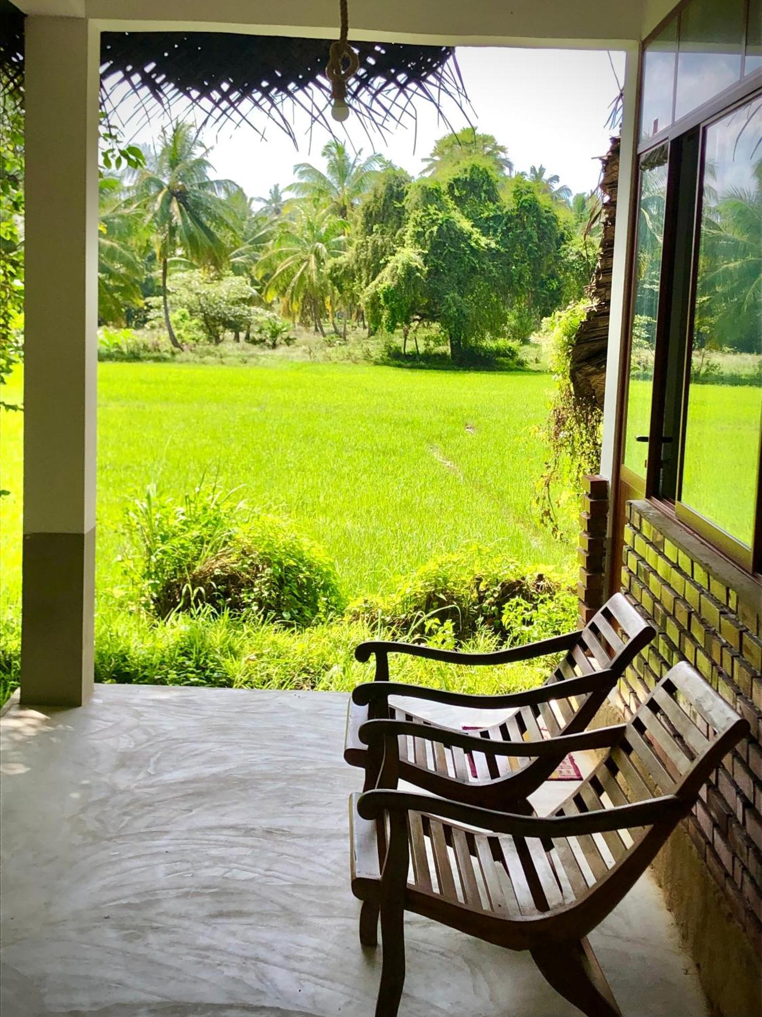 Wilpattu Green Cabin Achchamulai Екстер'єр фото