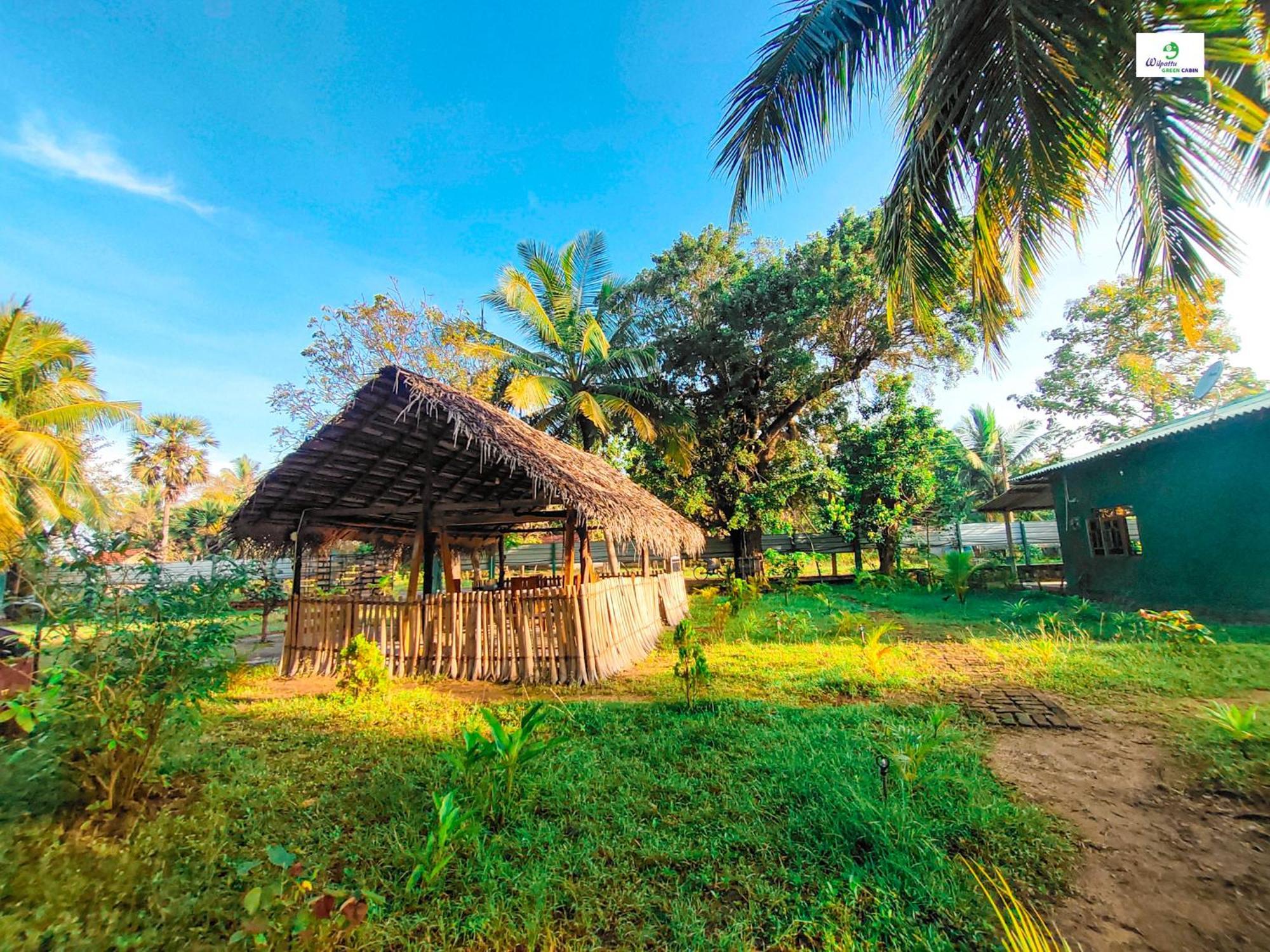 Wilpattu Green Cabin Achchamulai Екстер'єр фото